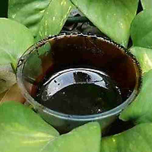 Ayahuasca (Banisteriopsis Caapi Céu - Original Chacruna, Chamada De Chagropanga , Harmala, Mimosa (Colar)
