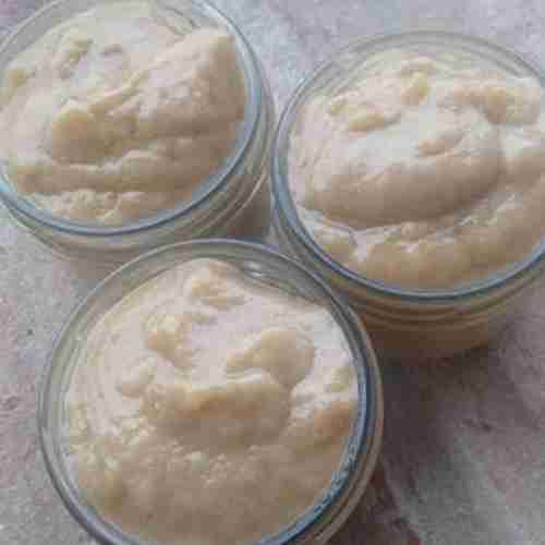 Creme Gel Vida de Fermentado Fervorosa Microrganismos