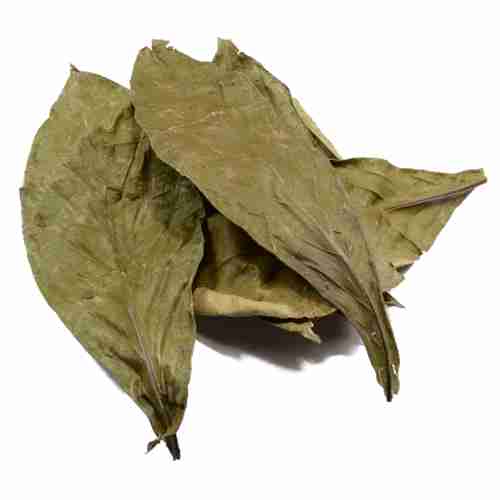 Chacruna