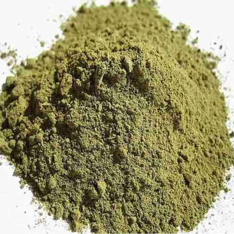 chacruna-psychotria-viridis-secca-polvere