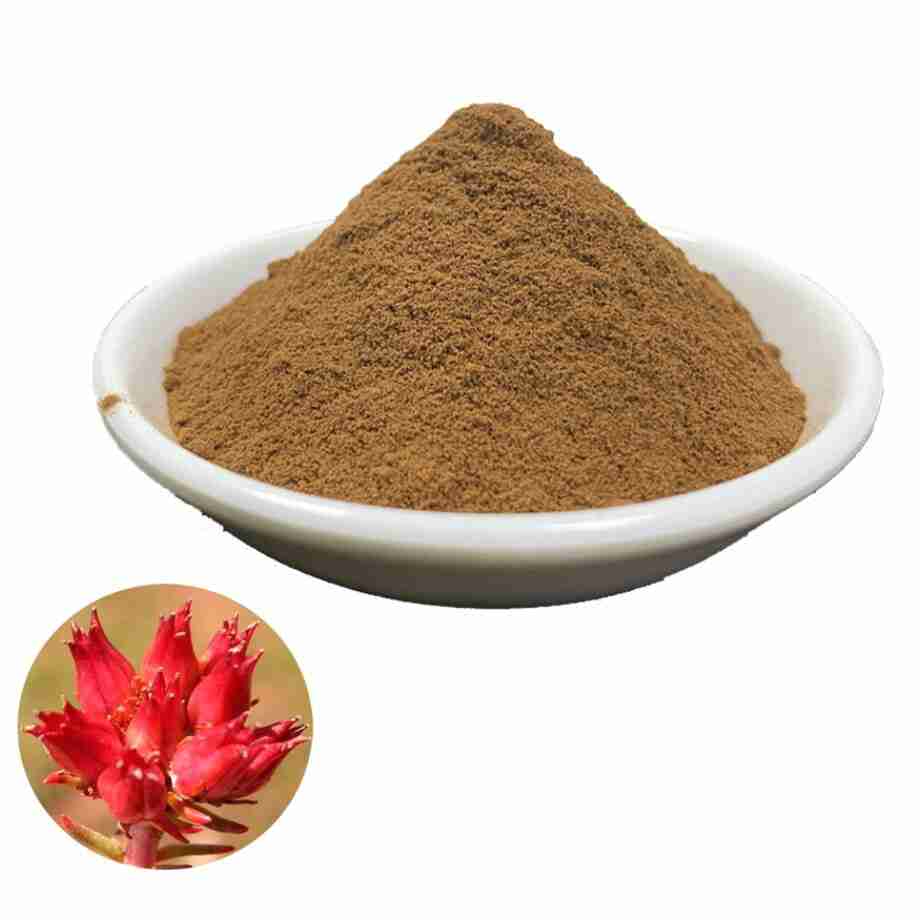 rhodiola rodiola rosea em pó