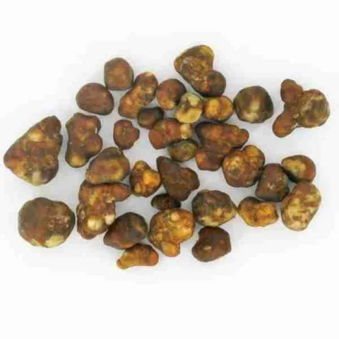 Tartufi Magici Hollandia