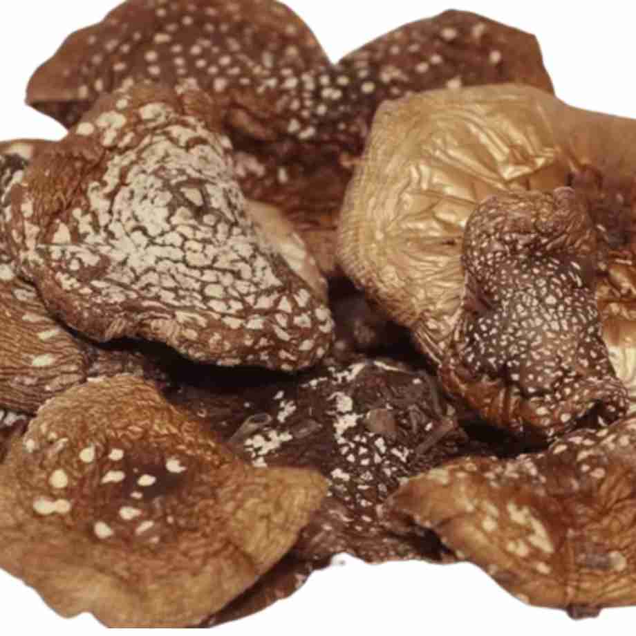 Amanita Phanterina Secas Cerimona e Microdosing