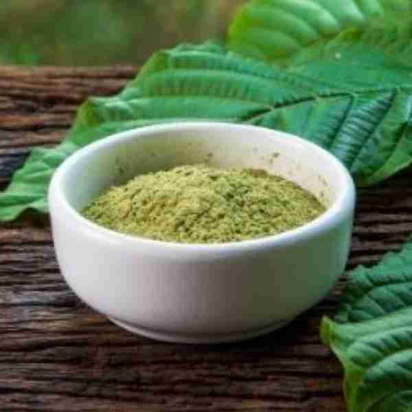 Kratom Bornéu Vermelho - Mitragyna Speciosa