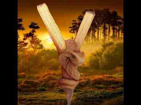 Kuripe Bambu Totem COBRA Amuleto com Pedras poderosas: o que é, origens, efeitos e uso consciente