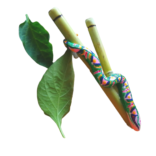 Kuripe Grande Serpente - Mixcolor Primordial De Bambu