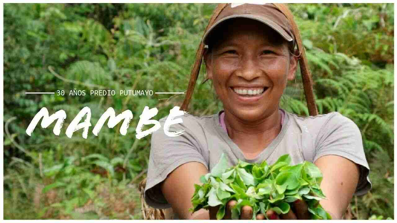 Mambe Ypadu Pronto Alivio De 100% Orgânico - Peruana Estilo